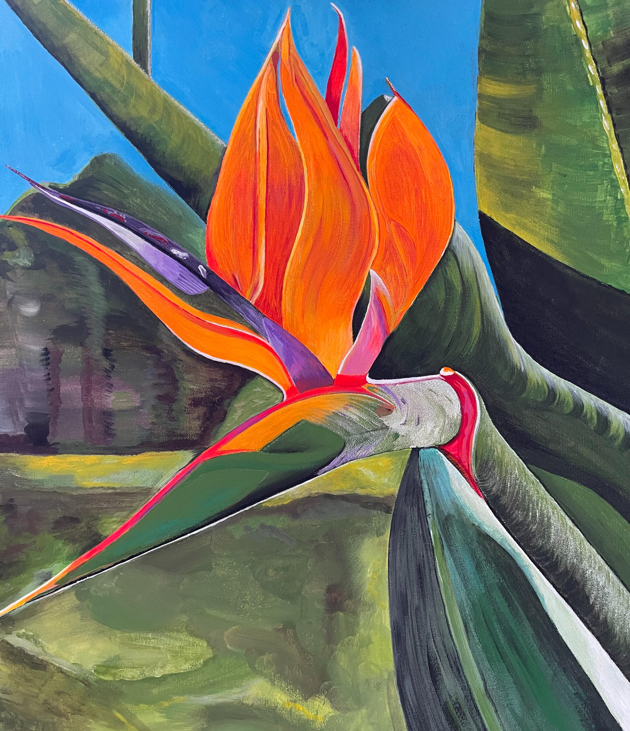 Bird of Paradise